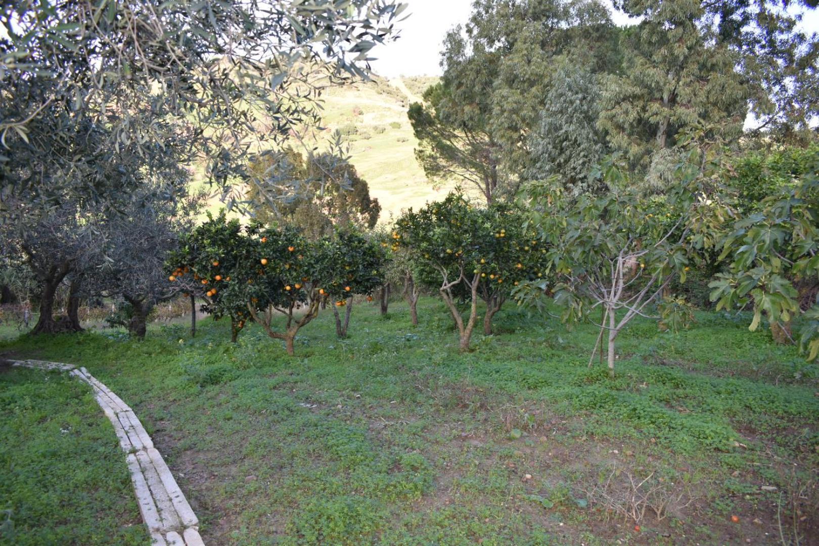 La Casetta Nel Bosco Apartment Calatafimi Exterior photo