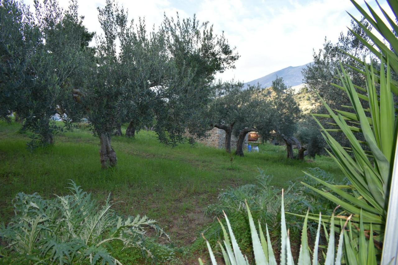 La Casetta Nel Bosco Apartment Calatafimi Exterior photo